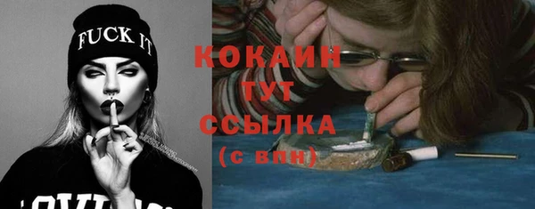 индика Верея