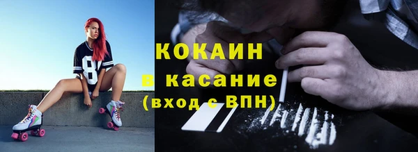 индика Верея