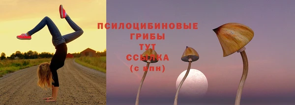 индика Верея