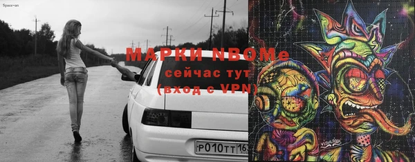 индика Верея