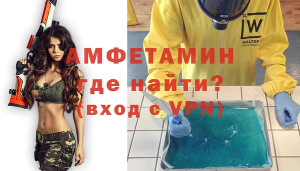 индика Верея
