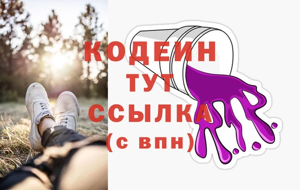 индика Верея