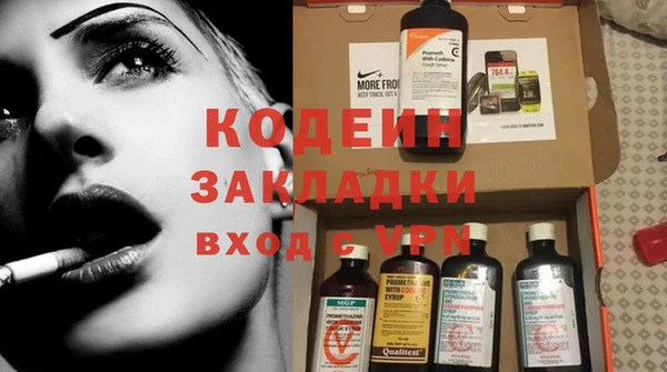 индика Верея