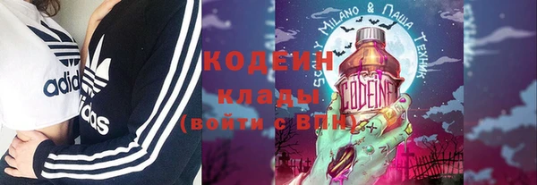 индика Верея